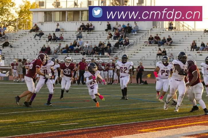 从韩日世界杯到今朝:FIFA2002如何改变足球格局